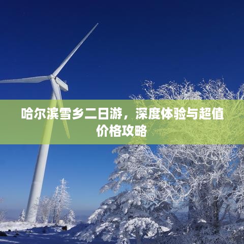 哈尔滨雪乡二日游，深度体验与超值价格攻略