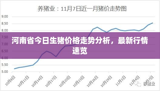 河南省今日生猪价格走势分析，最新行情速览