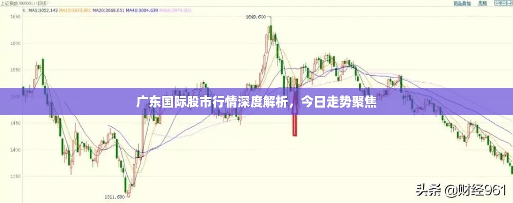 广东国际股市行情深度解析，今日走势聚焦