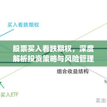 股票买入看跌期权，深度解析投资策略与风险管理之道