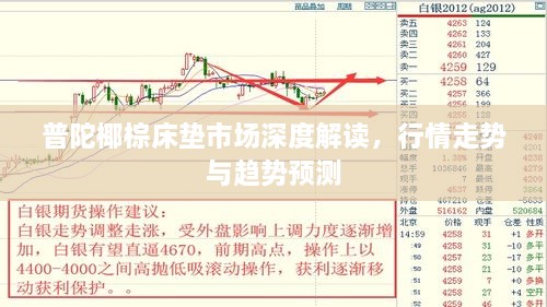 普陀椰棕床垫市场深度解读，行情走势与趋势预测