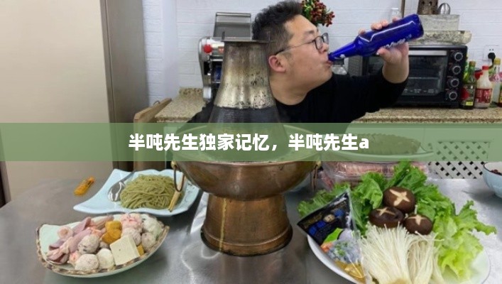 半吨先生独家记忆，半吨先生a 