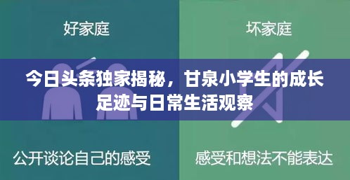 今日头条独家揭秘，甘泉小学生的成长足迹与日常生活观察