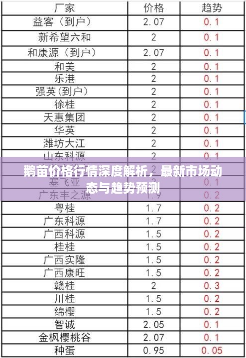 鹅苗价格行情深度解析，最新市场动态与趋势预测