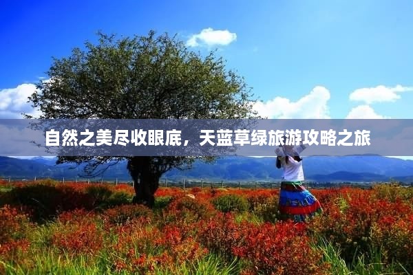 自然之美尽收眼底，天蓝草绿旅游攻略之旅