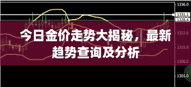 今日金价走势大揭秘，最新趋势查询及分析