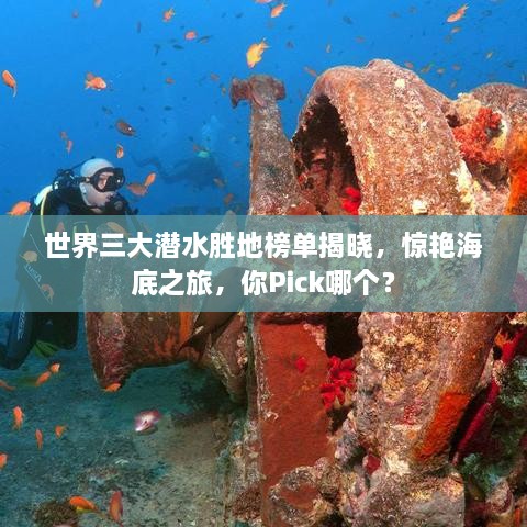 世界三大潜水胜地榜单揭晓，惊艳海底之旅，你Pick哪个？