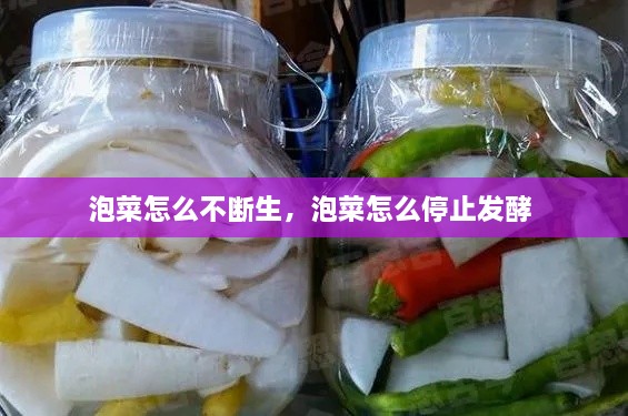 泡菜怎么不断生，泡菜怎么停止发酵 