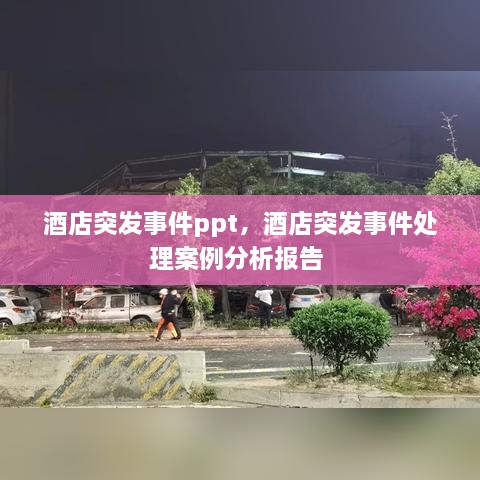 酒店突发事件ppt，酒店突发事件处理案例分析报告 