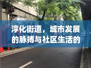 淳化街道，城市发展的脉搏与社区生活的风采展示