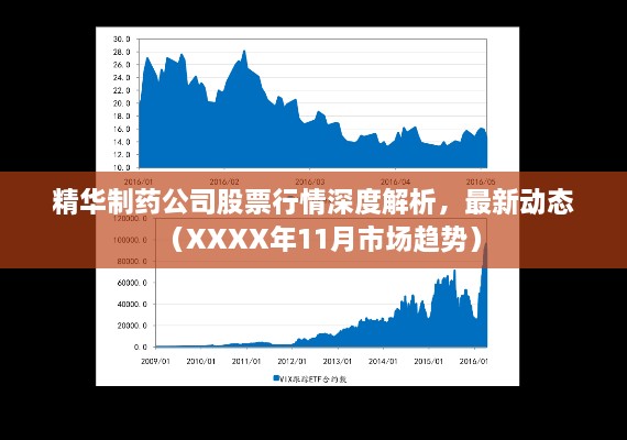 精华制药公司股票行情深度解析，最新动态（XXXX年11月市场趋势）