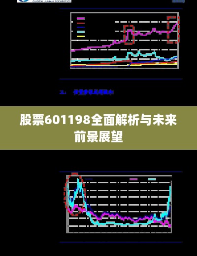 股票601198全面解析与未来前景展望