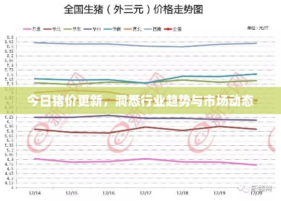 今日猪价更新，洞悉行业趋势与市场动态