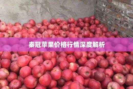 秦冠苹果价格行情深度解析