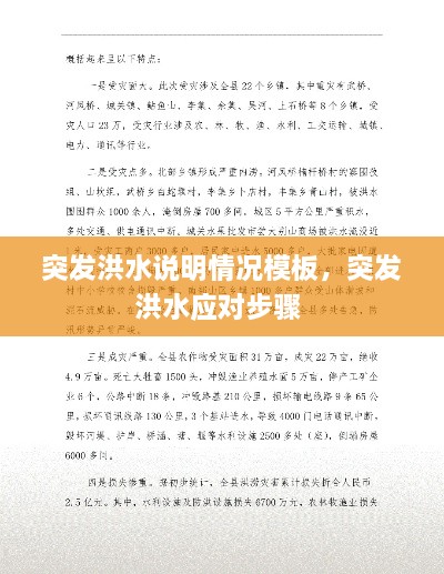 突发洪水说明情况模板，突发洪水应对步骤 