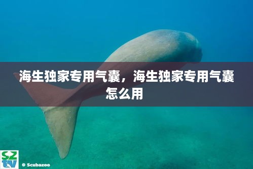 海生独家专用气囊，海生独家专用气囊怎么用 