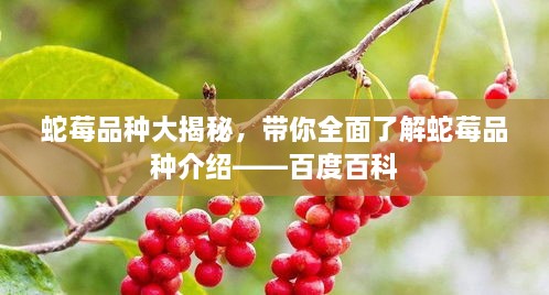 蛇莓品种大揭秘，带你全面了解蛇莓品种介绍——百度百科