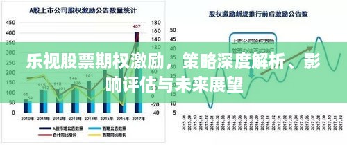 乐视股票期权激励，策略深度解析、影响评估与未来展望