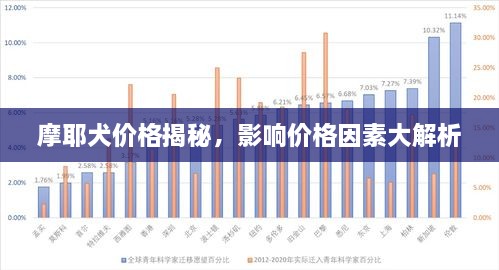 摩耶犬价格揭秘，影响价格因素大解析