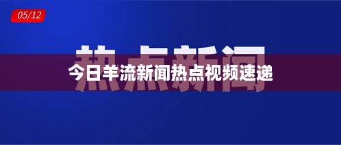 今日羊流新闻热点视频速递