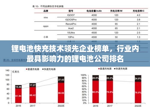 锂电池快充技术领先企业榜单，行业内最具影响力的锂电池公司排名