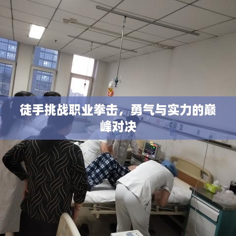 徒手挑战职业拳击，勇气与实力的巅峰对决