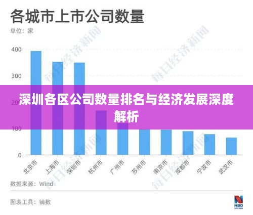 深圳各区公司数量排名与经济发展深度解析