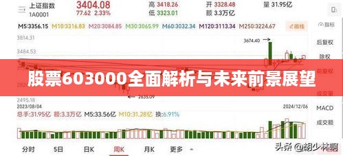 股票603000全面解析与未来前景展望