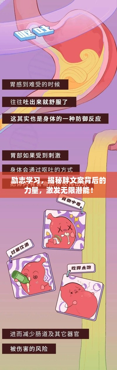 励志学习，揭秘胖文案背后的力量，激发无限潜能！