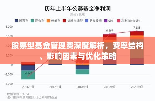 股票型基金管理费深度解析，费率结构、影响因素与优化策略