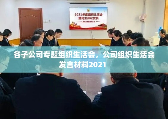 各子公司专题组织生活会，公司组织生活会发言材料2021 