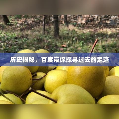 历史揭秘，百度带你探寻过去的足迹