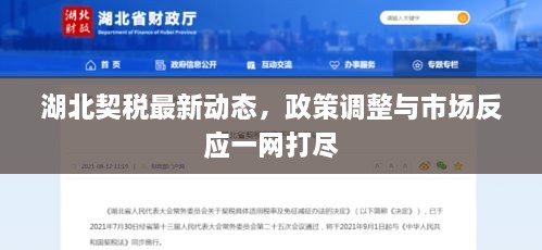 湖北契税最新动态，政策调整与市场反应一网打尽