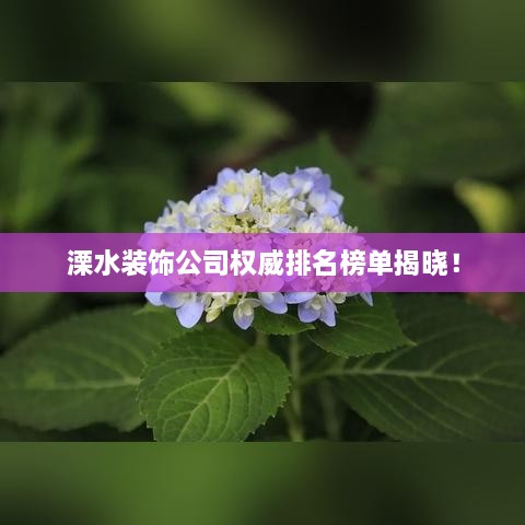 溧水装饰公司权威排名榜单揭晓！