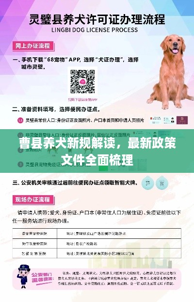 曹县养犬新规解读，最新政策文件全面梳理