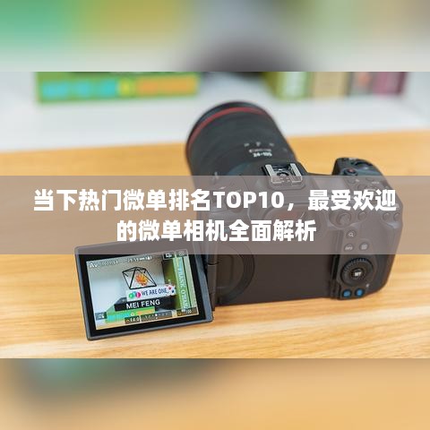 当下热门微单排名TOP10，最受欢迎的微单相机全面解析