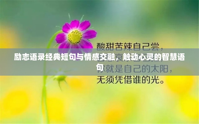 励志语录经典短句与情感交融，触动心灵的智慧语句