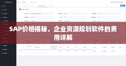 SAP价格揭秘，企业资源规划软件的费用详解