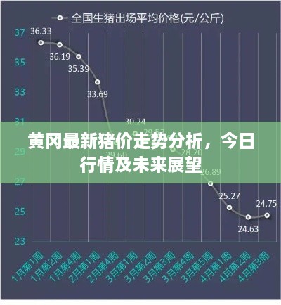 黄冈最新猪价走势分析，今日行情及未来展望