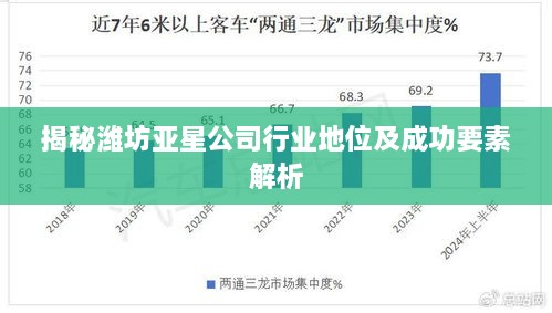 揭秘潍坊亚星公司行业地位及成功要素解析