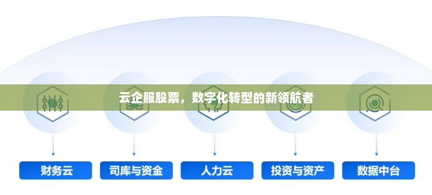 云企服股票，数字化转型的新领航者