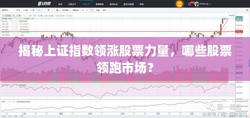 2025年2月18日 第5页