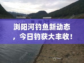 浏阳河钓鱼新动态，今日钓获大丰收！