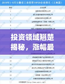 投资领域翘楚揭秘，涨幅最佳投资公司TOP排名揭晓！