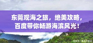 东莞观海之旅，绝美攻略，百度带你畅游海滨风光！