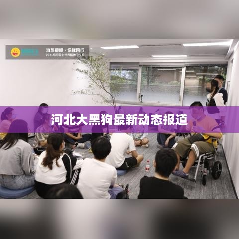 河北大黑狗最新动态报道