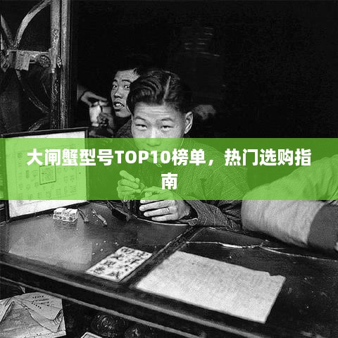 大闸蟹型号TOP10榜单，热门选购指南