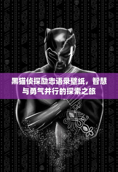 黑猫侦探励志语录壁纸，智慧与勇气并行的探索之旅