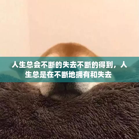 人生总会不断的失去不断的得到，人生总是在不断地拥有和失去 