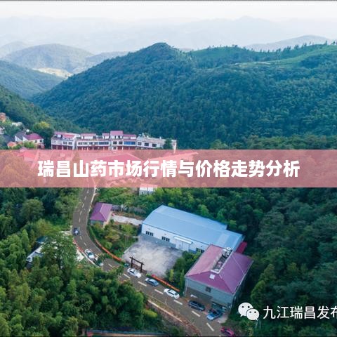 瑞昌山药市场行情与价格走势分析